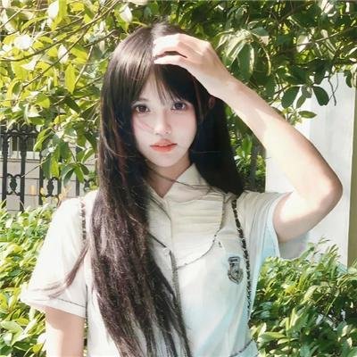 兽娘动物园